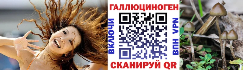 Псилоцибиновые грибы мухоморы  это формула  Гороховец 
